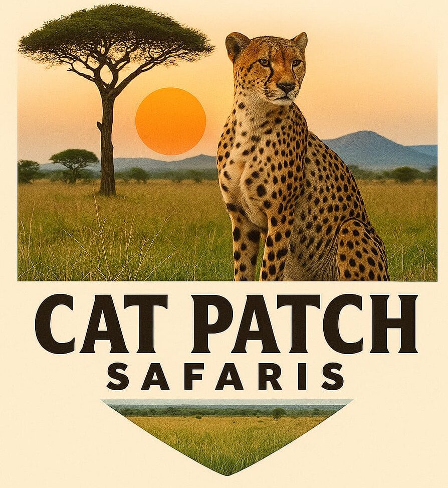 CAT PATCH SAFARIS